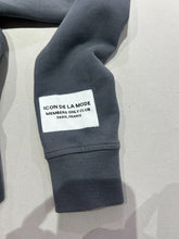 Load image into Gallery viewer, ICON SIGNATURE  HOODIE